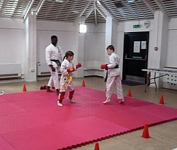 Karate competion