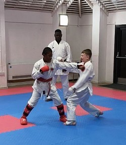 Karate comp
